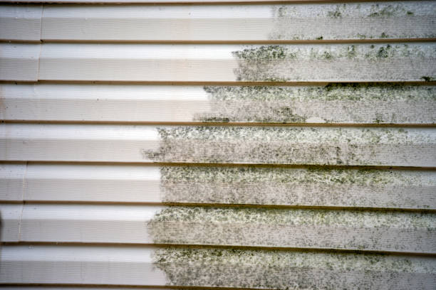 James Hardie Siding in Montesano, WA