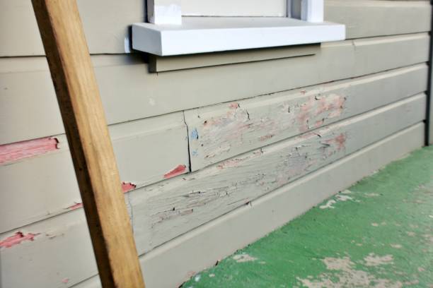 Best Stone Veneer Siding  in Montesano, WA